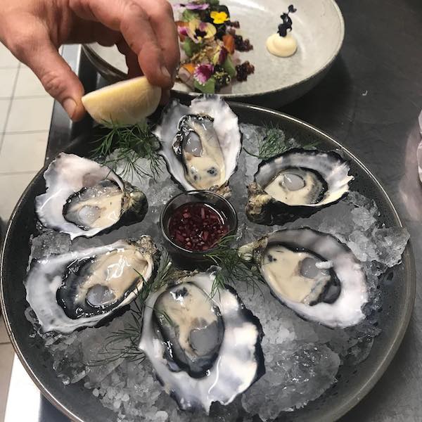 Shuck 5