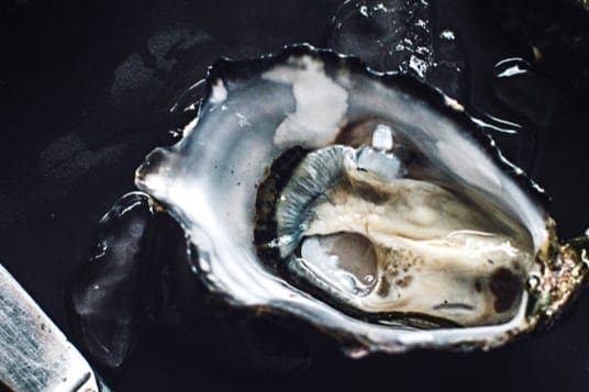 Shuck