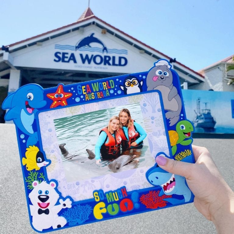 Seaworld 1 768x768