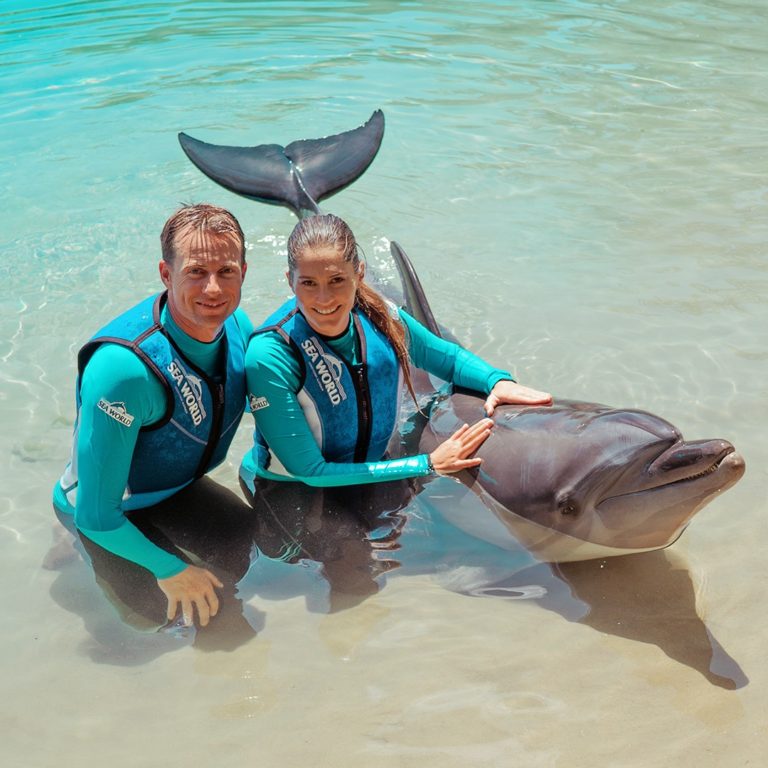 Seaworld 6 768x768